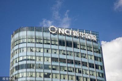 新华保险上半年净赚近100亿增8.6%,保费收入增5%