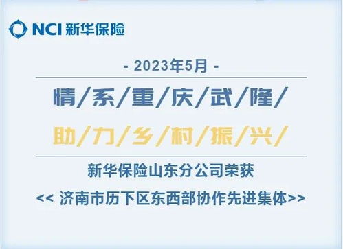 新华保险山东分公司获得 历下区东西部协作先进集体 荣誉称号凤凰网山东 凤凰网