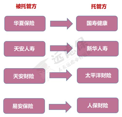 新华重疾险全线测评,哪款最值得买