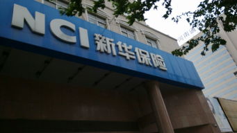 新华保险郑州公司 河南新华保险公司
