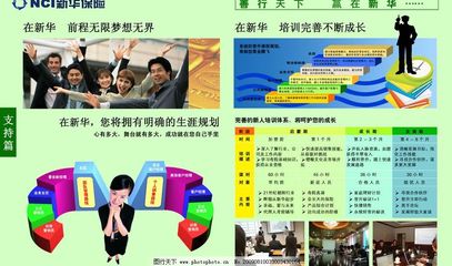 新华保险支持篇图片