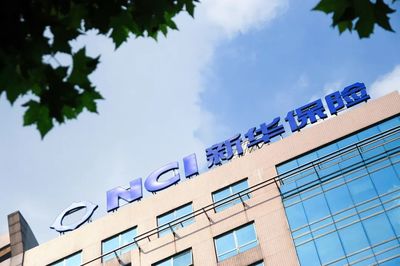 新华保险:成绩和问题一起“腾飞”?