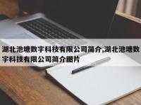 湖北池塘数字科技有限公司简介,湖北池塘数字科技有限公司简介图片