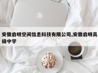 安徽启明空间信息科技有限公司,安徽启明高级中学