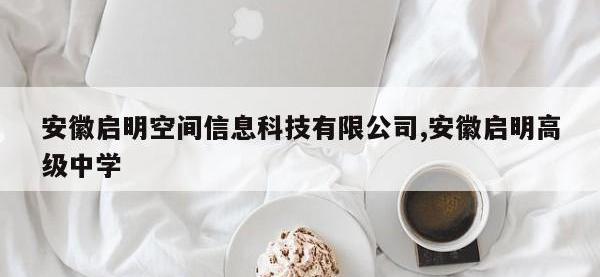 安徽启明空间信息科技有限公司,安徽启明高级中学