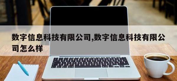 数字信息科技有限公司,数字信息科技有限公司怎么样