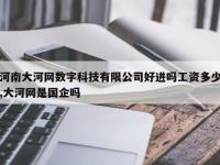 河南大河网数字科技有限公司好进吗工资多少,大河网是国企吗