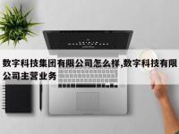 数字科技集团有限公司怎么样,数字科技有限公司主营业务