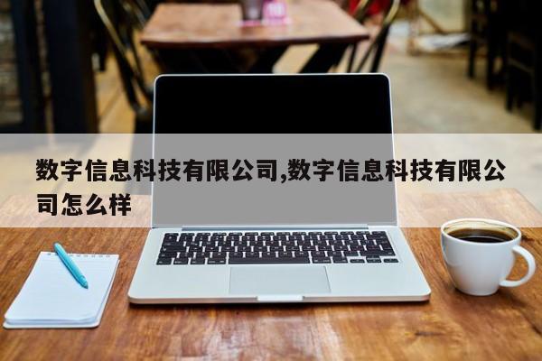 数字信息科技有限公司,数字信息科技有限公司怎么样