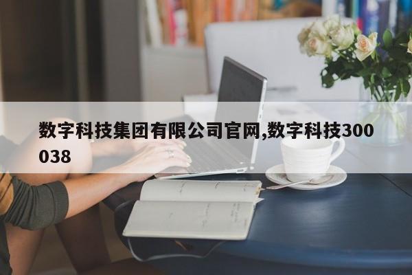 数字科技集团有限公司官网,数字科技300038