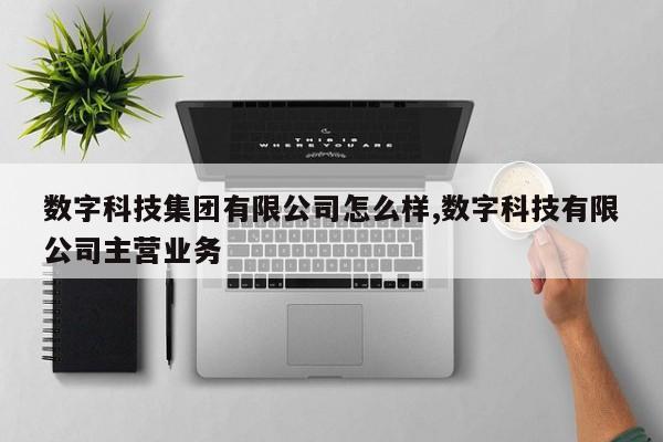 数字科技集团有限公司怎么样,数字科技有限公司主营业务