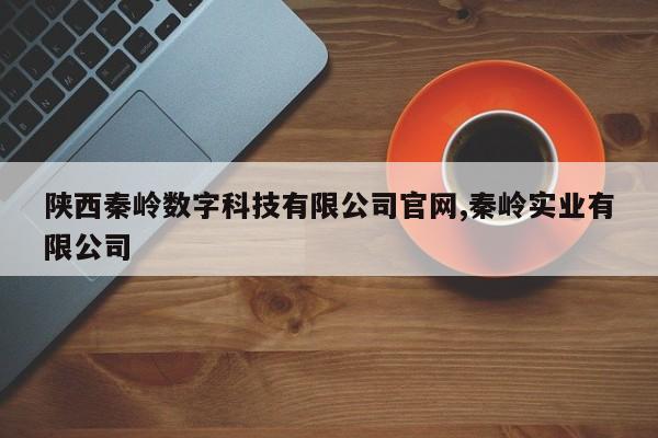 陕西秦岭数字科技有限公司官网,秦岭实业有限公司